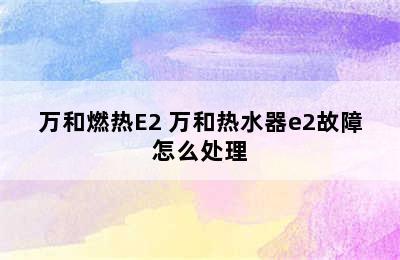 万和燃热E2 万和热水器e2故障怎么处理